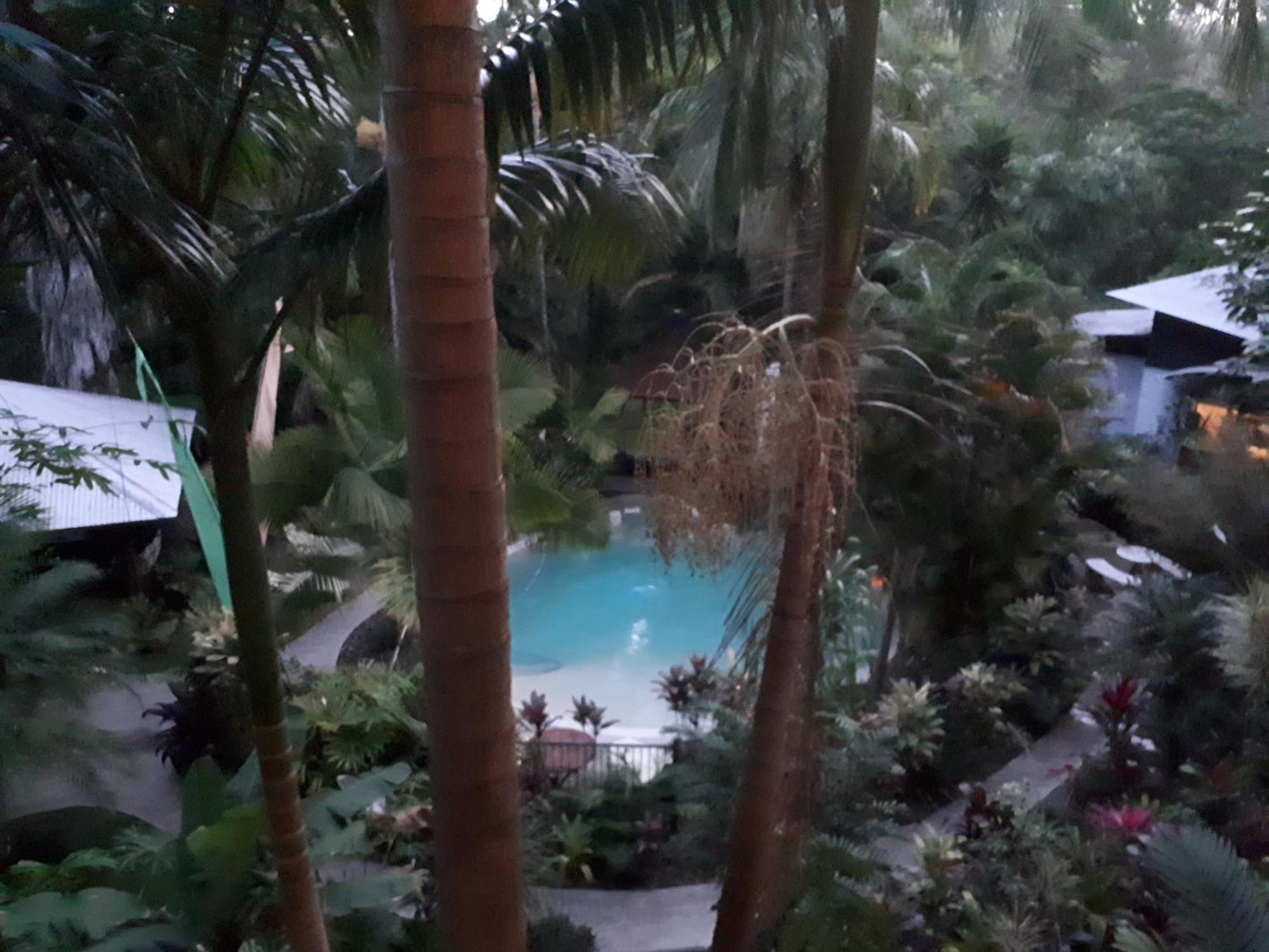 Bed and Breakfast Alaya Escape Eudlo Exterior foto