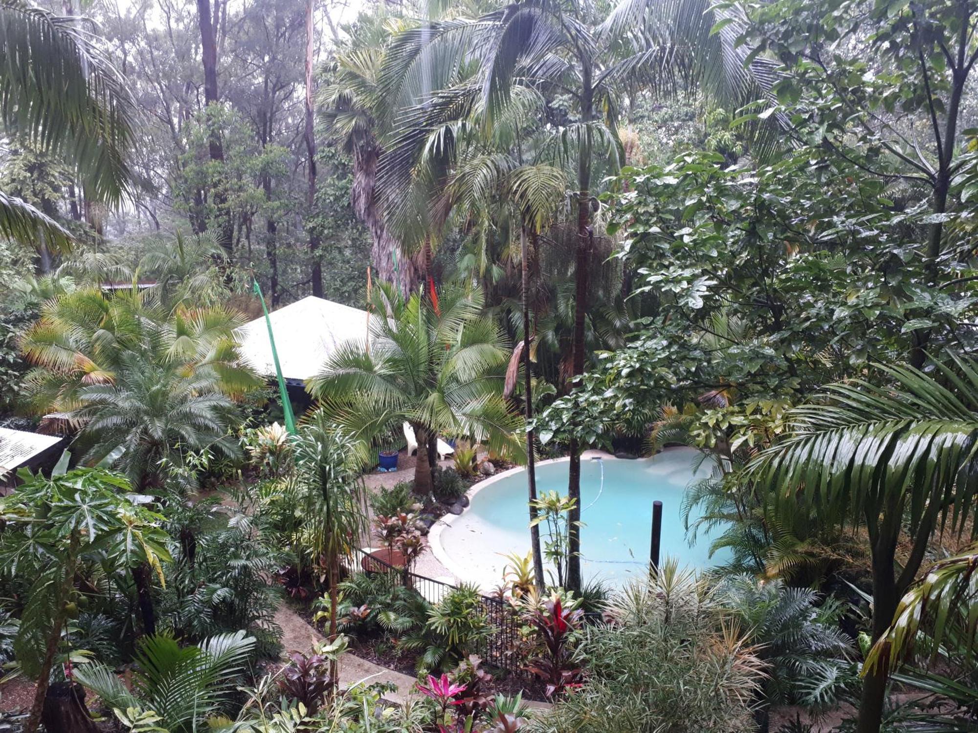 Bed and Breakfast Alaya Escape Eudlo Exterior foto